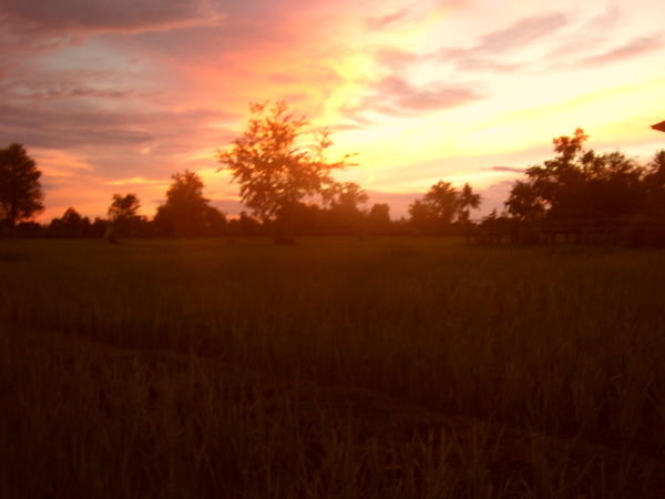 sunset 2