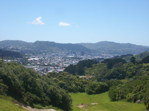 wellington city in the distance
