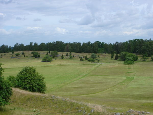 Old town site (700AD - 900AD) at Birka