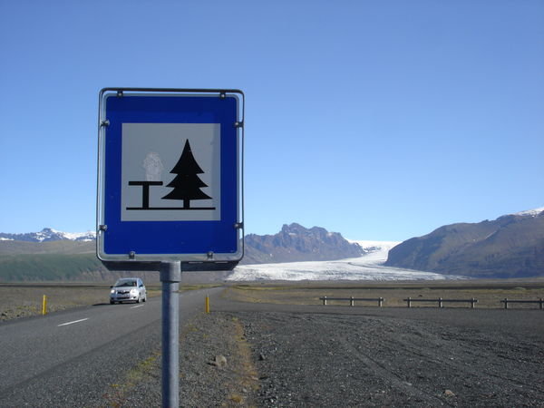 The sign says trees... where are the trees?