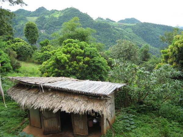 View from Karen Village