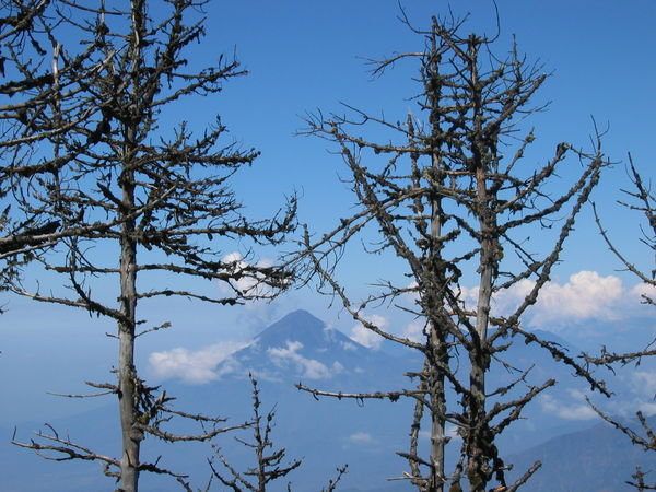Volcan Tajumulco, view from Volcan Acatenango