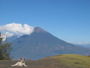 Volcan Agua, view from Volcan Pacaya
