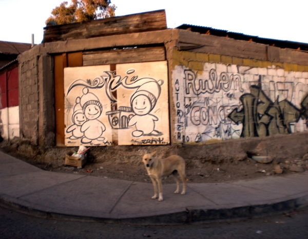 Grafitti and Street Dogs