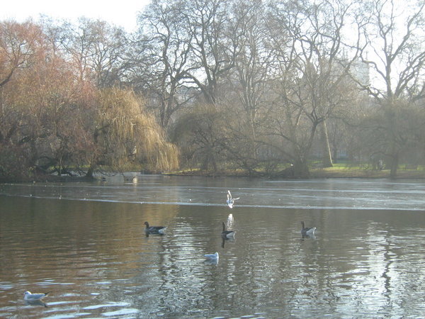 The Lake at St James Park