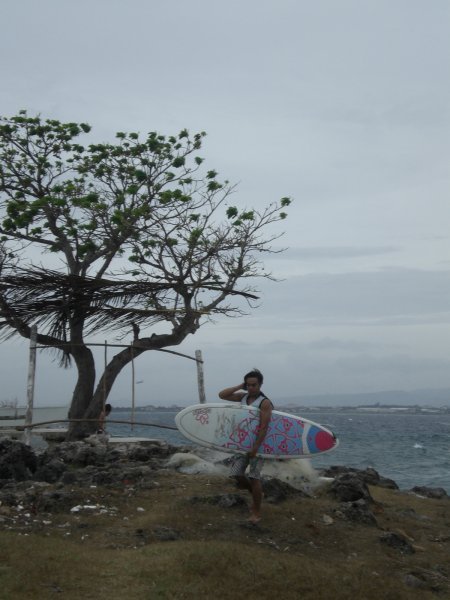 The surfer and the tree