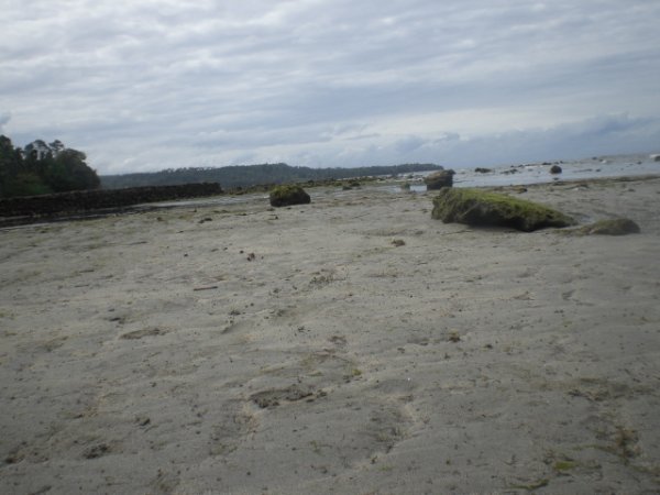Damayo beach at low tide