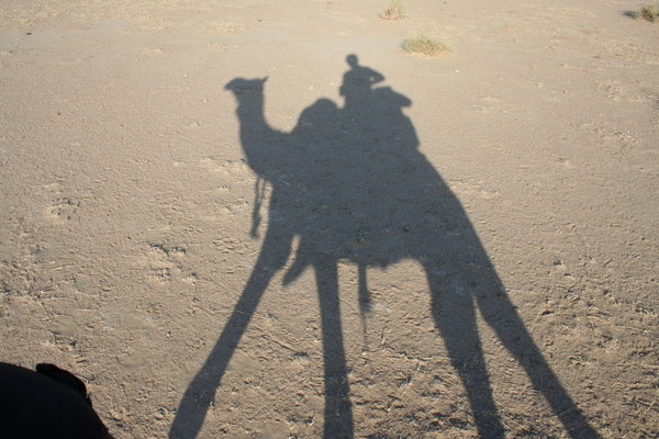 Camel safari, Jaisalmer