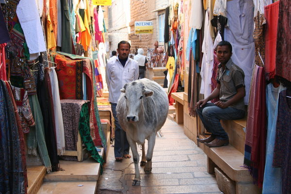 Bazar and cows at Jaisalmer Fort