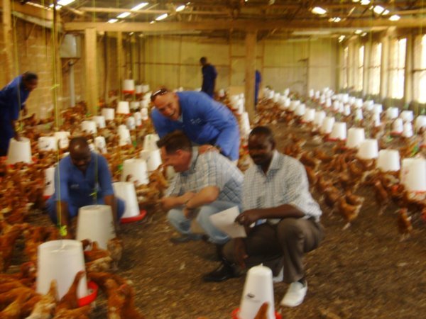 BAP chicken production facility