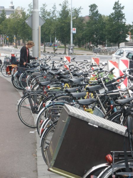 Standard transport in Amsterdam