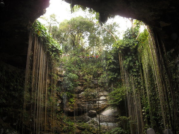 Inside a Cenote