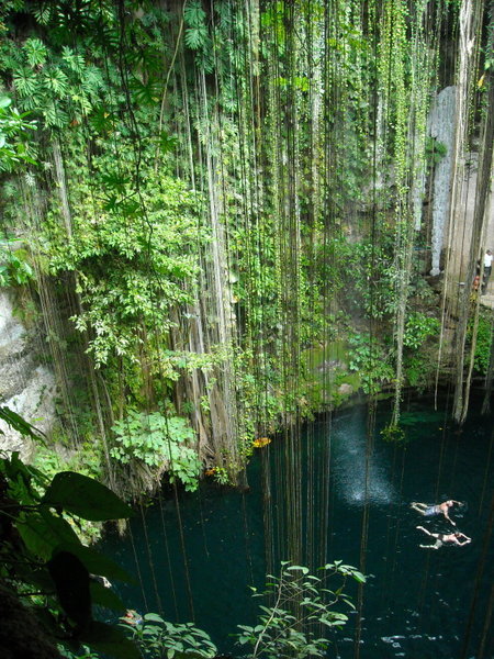 Cenote from the Top