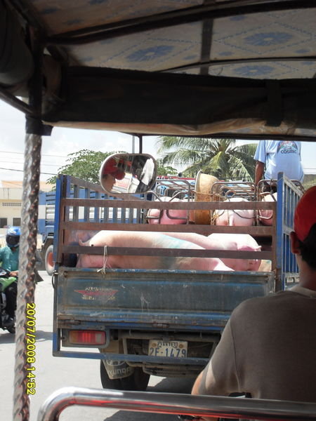 'Public Transport' Cambodia