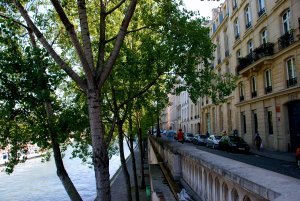 along the Seine