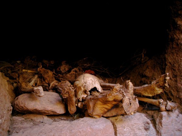 skeletons of monks