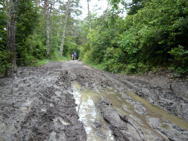 Mud, mud and more mud