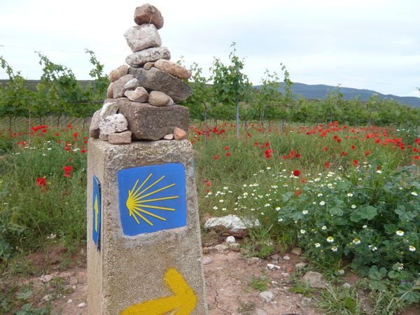 Waymarker in the countryside