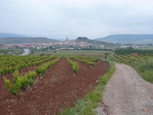 Approaching a village in Rioja