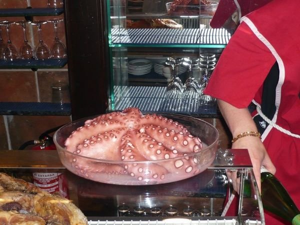 Octopus is a popular dish in Northern Spain