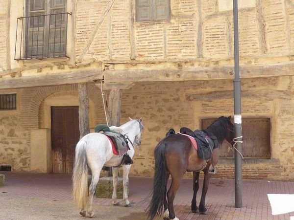 Some travel the Camino by Horseback