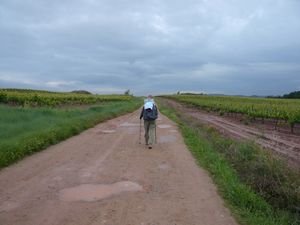 On the Camino