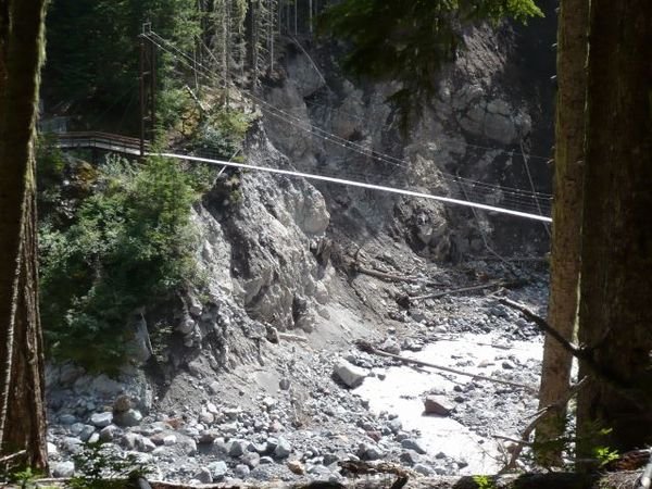 Suspension bridge over Tahoma Creek