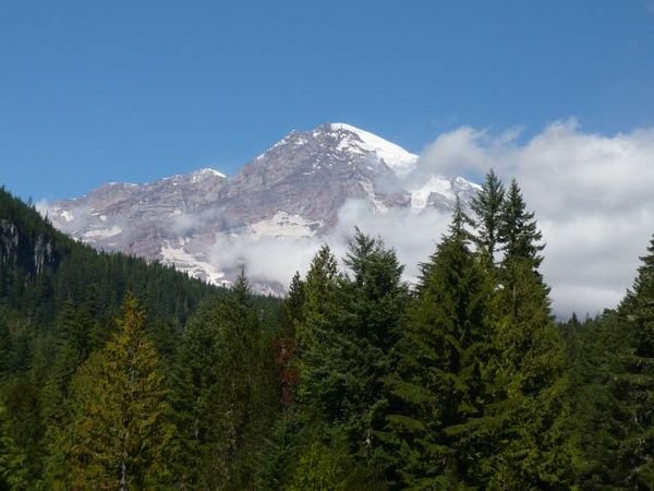 View of Rainier from Longmire