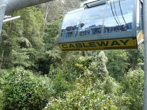 Scenic Cableway takes you back up from the valley floor