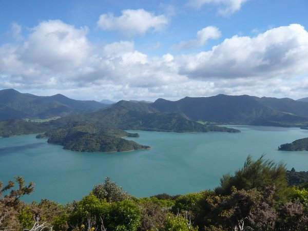  Views from the Queen Charlotte Track