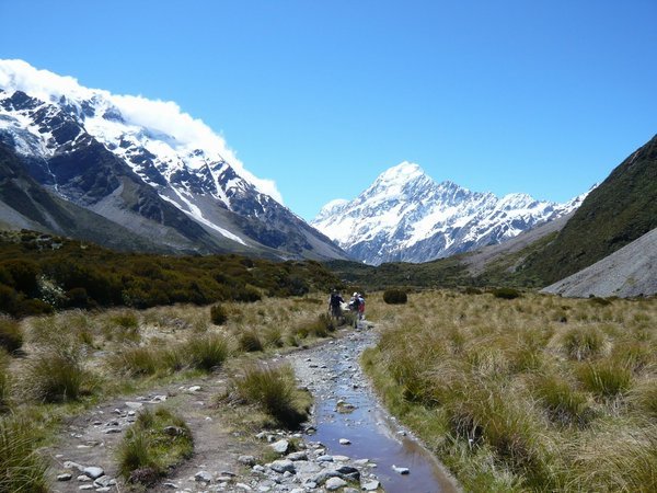 Mt. Cook from my hike below