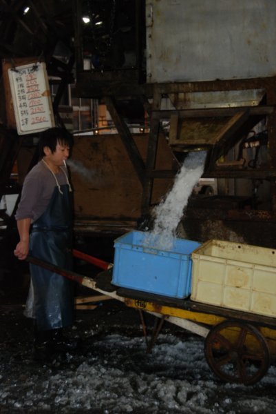 Getting crushed ice for packaging