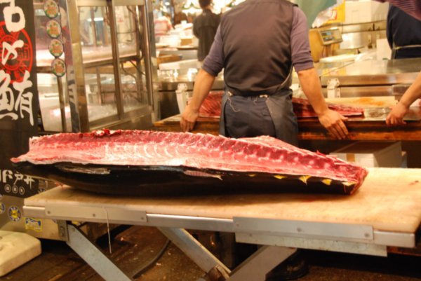 Tuna split in half