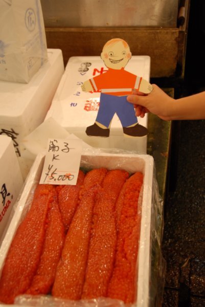 Flat Stanley amazed by the big fish roe