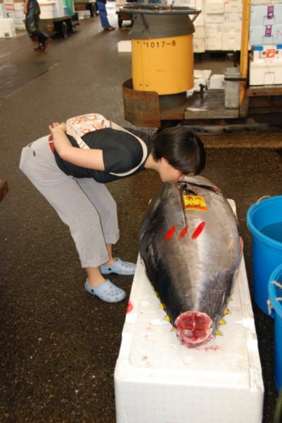 Lisa inspecting Tuna fish