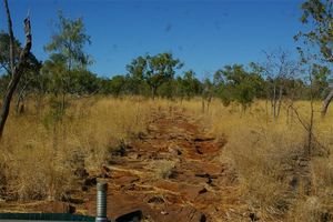 A track through Gregory NP
