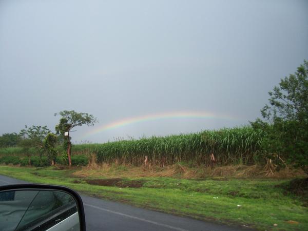 Rainbow on the way home