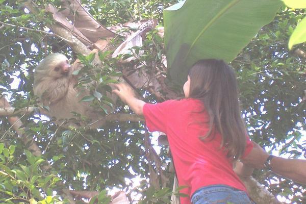 Callista with sloth
