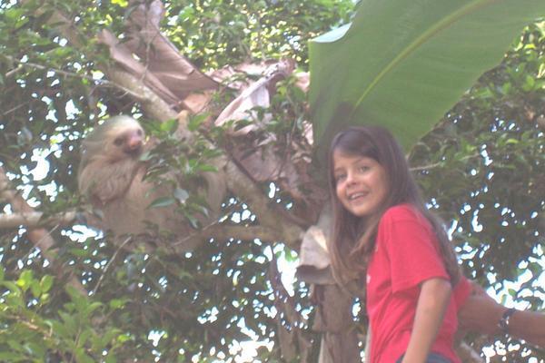 Playing with the sloth