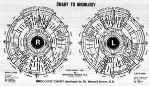 Iridology chart