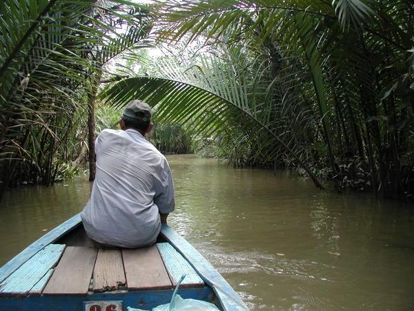 Water coconut grove