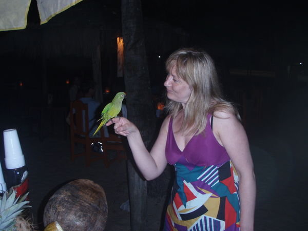 Promoting Parrot