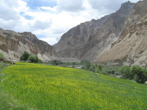 the Markha valley