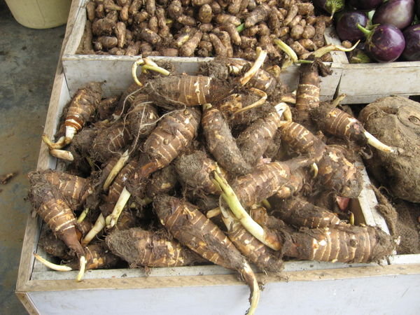 mystery root vegetable, market