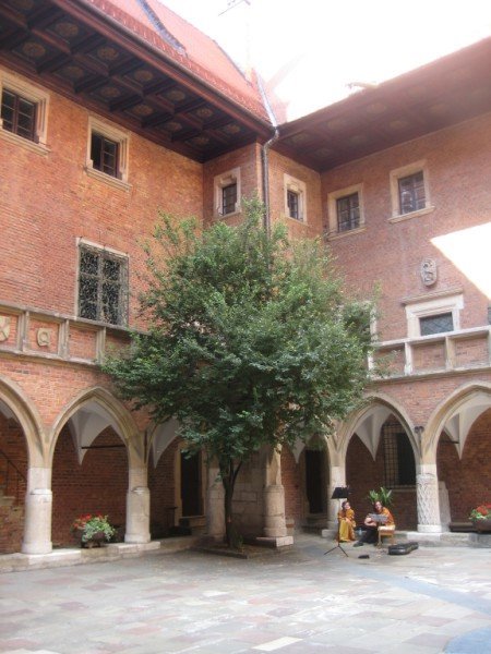 The university where Copernicus studied