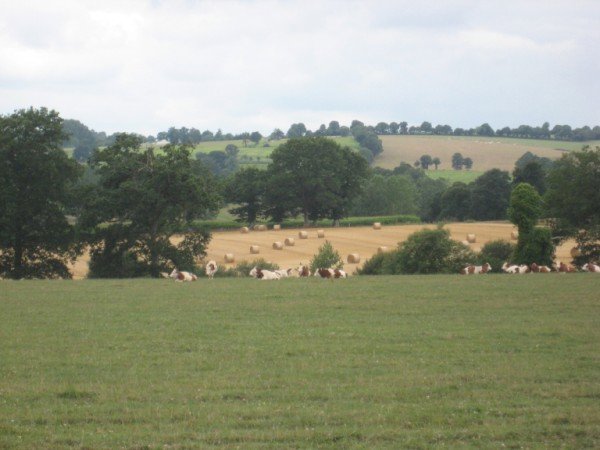 Le French Countryside