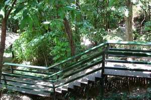 Boardwalk of Kula Eco Park