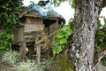 Mativa Treehouse (1)