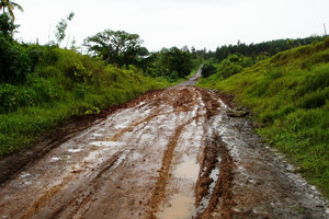Muddy Roads 