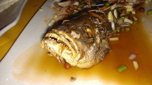 Snapper - I don't think so! Was still good though.
